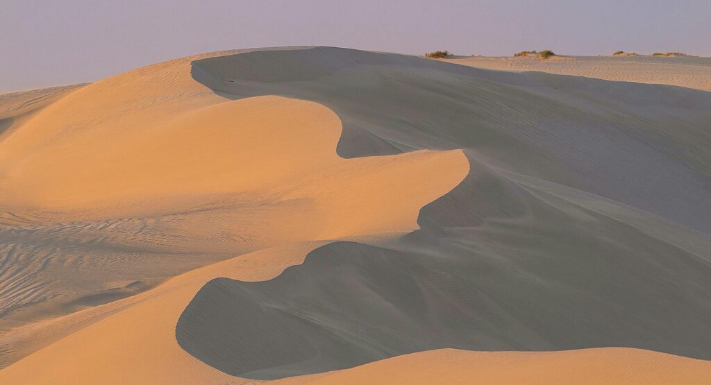 dynamika_sand